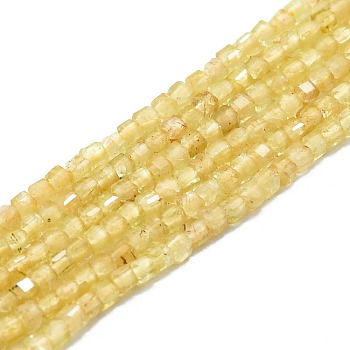 Natural Yellow Apatite Beads Strands, Faceted, Cube, 2x2x2mm, Hole: 0.6mm, about 182pcs/strand, 15.16''~15.55''(38.5~39.5cm)
