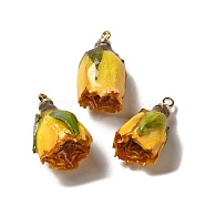 Preserved Rose with Golden Alloy Pendants, Gold, 20~22x12.5~13x12mm, Hole: 2mm(FIND-M010-01C)