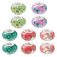 10Pcs 5 Colors Transparent Resin European Rondelle Beads, Large Hole Beads, with Polymer Clay & Platinum Tone Alloy Double Cores, Mixed Color, 14x8.5mm, Hole: 5mm 2pcs/color(RPDL-YW0001-07A)
