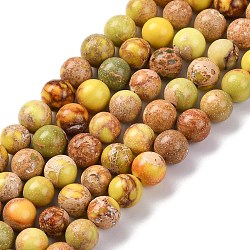 Dyed Natural Regalite/Imperial Jasper/Sea Sediment Jasper Beads Strands, Round, Champagne Yellow, 6mm, Hole: 1.2mm, about 32pcs/strand, 7.68''(19.5cm)(G-B124-C02-04)