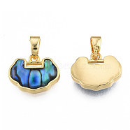 Synthetic Abalone Shell/Paua Shell Charms with Real 18K Gold Plated Brass Findings, Nickel Free, Lucky Longevity Lock, Colorful, 11x13x2.5mm, Hole: 2.5x4mm(KK-N233-426)