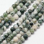Natural Tree Agate Beads Strands, Round, 3mm, Hole: 0.5mm, 125pcs/strand, 15.7 inch(G-N0192-01-3mm)