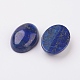 lapis-lazuli naturel dos plat cabochons(X-G-G741-18x25mm-15)-2