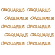 10Pcs Brass Pendants, with Jump Rings, Long-Lasting Plated, Constellation/Zodiac Sign, Golden, Aquarius, Aquarius: 4x25.5x1.5mm, Hole: 3mm(KK-SZ0004-36J)