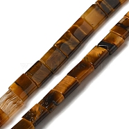 Natural Tiger Eye Beads Strands, 2-Hole, Square, 5.5x5.5x2.5mm, Hole: 0.8mm, about 71pcs/strand, 15.24 inch(38.7cm)(G-F762-A23-01)