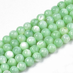 Natural Freshwater Shell Beads Strands, Dyed, Round, Light Green, 4mm, Hole: 0.8mm, about 97~99pcs/strand, 14.88 inch~15.16 inch(37.8~38.5cm)(SHEL-N003-24-B03)