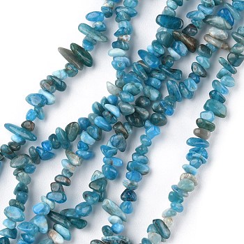 Natural Apatite Beads Strands, Chip, 1.5~4.5x3~13x2.5~8mm, Hole: 0.6mm, 30.94~31.97 inch(78.6~81.2cm)
