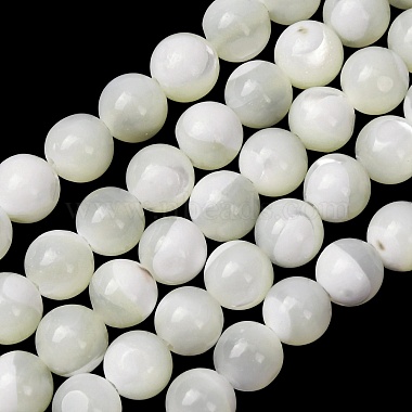 Natural Trochid Shell/Trochus Shell Beads Strands(SH-CBA2978-16B)-1