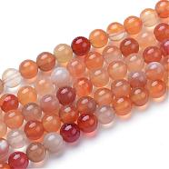 Natural Carnelian Bead Strands, Round, 6mm, Hole: 1mm, about 61pcs/strand, 15 inch(G-R412-29-6mm)