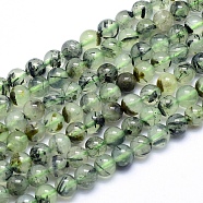 Natural Prehnite Beads Strands, Round, 6mm, Hole: 1mm, about 66pcs/strand, 15.5 inch(39.5cm)(G-K224-03-6mm)
