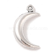 Moon Alloy Pendants, Tibetan Style, Cadmium Free & Nickel Free & Lead Free, Antique Silver, 18x10.5x4mm, Hole: 1mm(X-TIBEP-R336-172AS-FF)