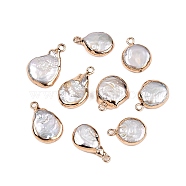 Electroplated Natural Keshi Pearl Teardrop Pendants, Cultured Freshwater Pearl Baroque Pearls Charms, Golden, Seashell Color, 15.5~21x11~13x4~7mm, Hole: 1.6~1.8mm(PEAR-S018-02K-01)