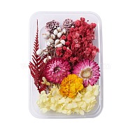 Dried Flowers, DIY Candle Soap Making Accessories, with Plastic Rectangle Box, Mixed Color, 2.9~14x2.2~9cm(DIY-D052-18)