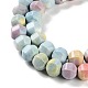 Natural Rainbow Alashan Agate Beads Strands(G-NH0022-B01-02)-4