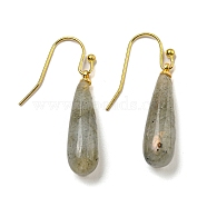 Ion Plating(IP) Natural Labradorite Dangle Earring, with Brass Earring Hook, Teardrop, 34~36x7~7.5mm(EJEW-C084-01G-04)