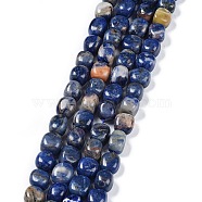 Natural Sodalite Beads Strands, Nuggets Tumbled Stone, 6.5~15x7~14x7~14mm, Hole: 1~1.4mm, about 32~33pcs/strand, 15.16~ 15.75 inch(38.5~40cm)(G-C038-02E)