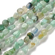 Natural Chrysocolla and Lapis Lazuli Beads Strands, Nuggets, Tumbled Stone, 7~13x4.5~10x4.5~10mm, Hole: 1.2mm, about 44~46pcs/strand, 15.08''~16.14''(38.3~41cm)(G-P497-01E-41)