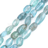 Natural Quartz Beads Strands, Tumbled Stone, Nuggets, Sky Blue, 5~13x5~10x3~8mm, Hole: 1mm, about 40~60pcs/strand, 14.57 inch~15.74 inch(37~40cm)(X-G-S359-149B)
