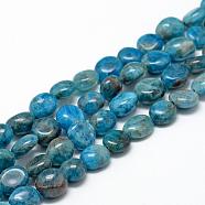 Natural Apatite Beads Strands, Oval, 8~15x7~12x4~12mm, Hole: 1mm, about 30~45pcs/strand, 15.7(G-R445-8x10-24)