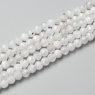 Natural Rainbow Moonstone Beads Strands, Round, Faceted, 3mm, Hole: 0.6mm, about 140pcs/strand, 15.55 inch(39.5cm)(G-O186-D02-01)
