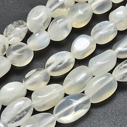 Natural White Moonstone Beads Strands, Nuggets, Tumbled Stone, 12~15x6~8x5mm, Hole: 0.8mm, about 34pcs/Strand, 15.75 inch(40cm)(X-G-O186-C-04)
