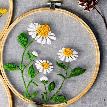 DIY Transparent Fabric Embroidery Kits, with Polyurethane Elastic Fibre and Plastic Frame & Iron Needle & Colored Thread, Chrysanthemum Pattern, 21x20x0.9cm, Inner Diameter: 18cm