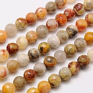 Natural Crazy Agate Beads Strands, Faceted, Round, Mixed Color, 8mm, Hole: 1mm, about 46pcs/strand, 15.75 inch(G-G542-8mm-10)