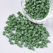 8/0 Two Cut Glass Seed Beads, Hexagon, Opaque Colours, Dark Sea Green, 2.5~3x2.5mm, Hole: 0.9mm, about 15000pcs/bag(SEED-S033-01A-02)