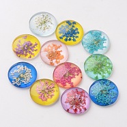 Handmade Glass Flat Back Cabochons, Half Round/Dome, with Dried Flower, Mixed Color, 20x6mm(GGLA-A004C-20mm)