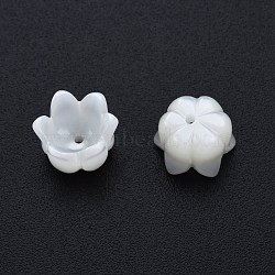 Natural White Shell Bead Caps, 6-Petal Flower, 5x7mm, Hole: 1mm(SSHEL-G024-03A)