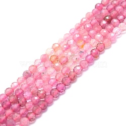 Natural Tourmaline Beads Strands, Faceted, Round, 3mm, Hole: 0.7mm, about 132pcs/strand, 15.16''~15.55''(38.5~39.5cm)(G-P457-A02-14B)