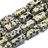 Natural Dalmatian Jasper Beads Strands, with Seed Beads, Faceted, Column, 12~13x6~8x6~8mm, Hole: 1mm, about 28pcs/strand, 15.55''~15.75'(39.5~40cm)(G-K245-I03-01)