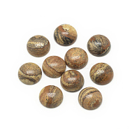 Natural Picture Jasper Cabochons, Half Round/Dome, 12x5mm(G-R416-12mm-42)