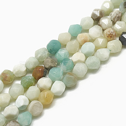 Natural Flower Amazonite Beads Strands, Faceted, Round, 9~10x8~9x8~9mm, Hole: 1mm, about 38pcs/14.3 inch(G-S300-84-10mm)