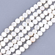 Chapelets de perles en coquille d'eau douce (SHEL-S276-15B)-1