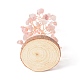 Natürliche Rosenquarzsplitter mit messingumwickeltem Geldbaum aus Draht auf Holzsockel als Dekoration(DJEW-B007-05G)-3