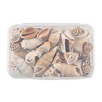 DIY Shell Pendant Making Kits, Mixed Color, 10x1mm(DIY-FP0001-47)