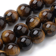 Natural Tiger Eye Beads Strands, Round, 8mm, Hole: 1mm, about 50pcs/strand, 15.7 inch(G-S259-21-8mm)