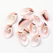 Natural Freshwater Shell Beads, Seashell Color, 30~45x15~25x10~15mm, Hole: 1mm, about 111pcs/500g(BSHE-L036-29)