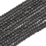 Natural Obsidian Beads Strands, Faceted, Round, 2mm, Hole: 0.5mm, about 169pcs/strand, 15.7 inch(40cm)(G-G792-36A)