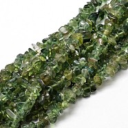Natural Apatite Chip Beads Strands, 5~14x4~10x1~15mm, Hole: 1mm, about 15.5 inch~16.1 inch(G-E241-83)