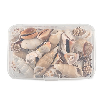 DIY Shell Pendant Making Kits, Mixed Color, 10x1mm