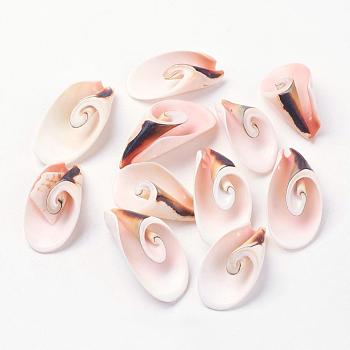 Natural Freshwater Shell Beads, Seashell Color, 30~45x15~25x10~15mm, Hole: 1mm, about 111pcs/500g