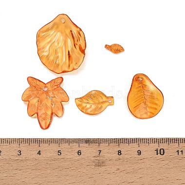 Transparent Acrylic Pendants(AC-CBAE38D-01C)-3