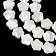 Natural Trochid Shell/Trochus Shell Beads Strands(SH-CBA2978-08)-2
