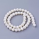 Shell Beads Strands(SSHEL-E571-39-8mm)-2