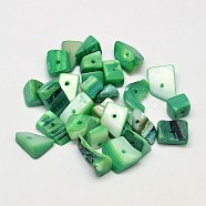 Dyed Natural Freshwater Shell Nuggets Chips Beads, Green, 10~20x5~15mm, Hole: 1mm, about 330pcs/500g(SHEL-O001-13B)