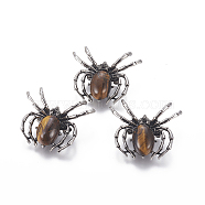 Natural Tiger Eye Brooch, with Alloy Findings and Glass, Spider, Antique Silver, 34~35x41~42x7mm, Hole: 3x5mm(G-A176-C04-1)