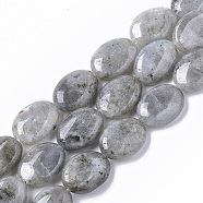 Natural Labradorite Beads Strands, Oval, 18x13.5x6~7mm, Hole: 1.2mm, about  20~22pcs/Strand, 15.55 inch(39.5 cm)(G-S359-001B)