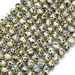 Natural Dalmatian Jasper Beads Strands, with Seed Beads, Faceted, Lantern, 8~8.5x6.5~7mm, Hole: 0.6mm, about 44pcs/strand, 15.16''(38.5cm)(G-K389-E26-01)